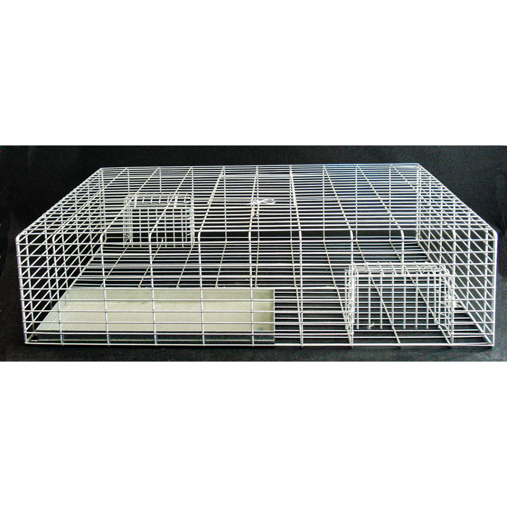 THE WIMMERA PIGEON TRAP