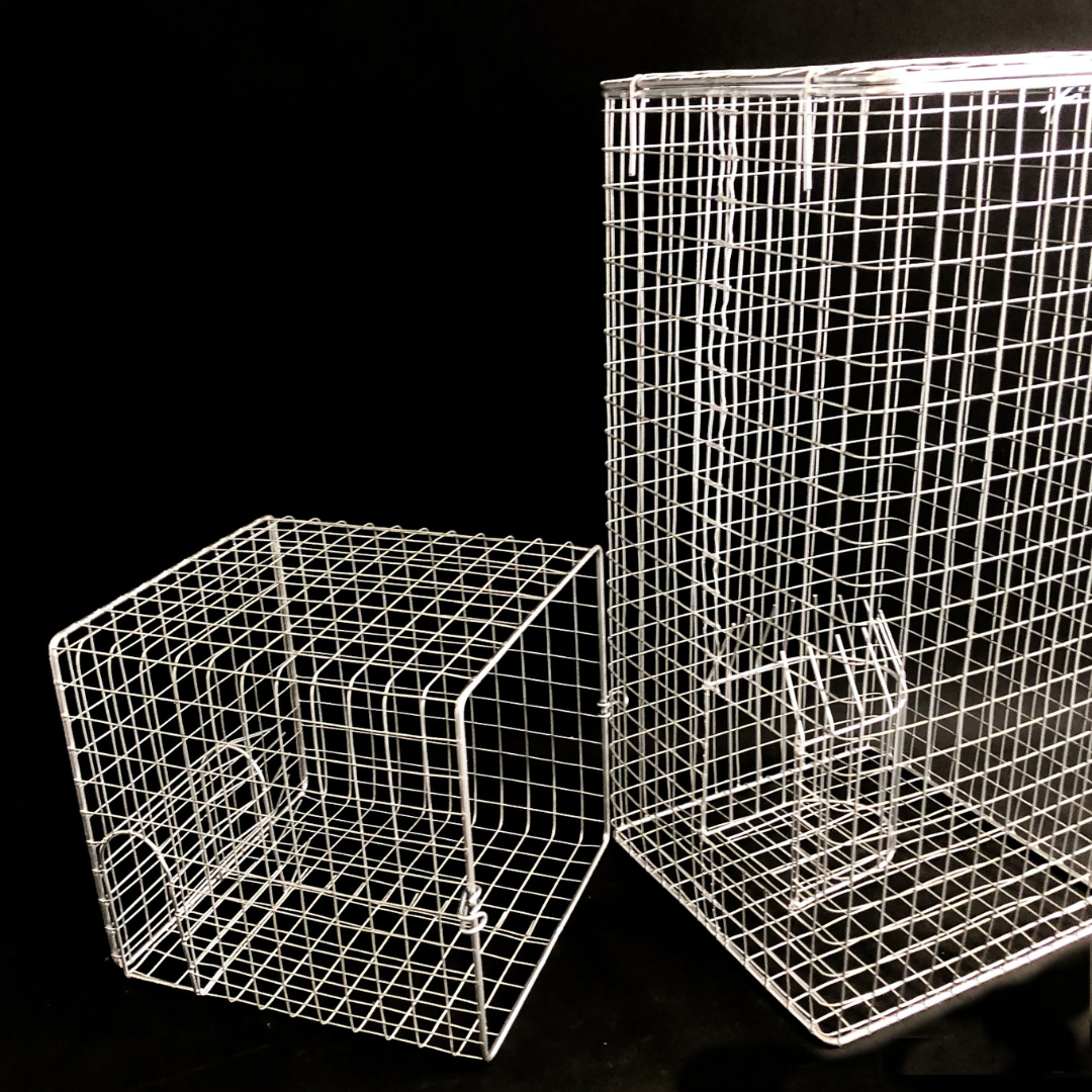 IT'S A TRAP! IT'S A TRAP! Humane Feral and Pest animal traps.