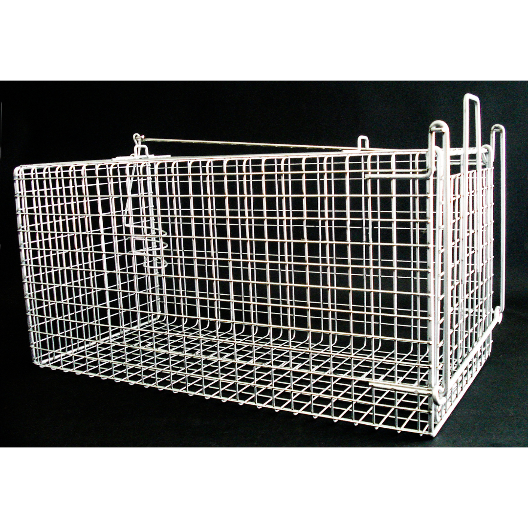 THE PIMBA POSSUM TRAP