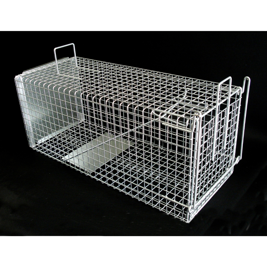 IT'S A TRAP! IT'S A TRAP! Humane Feral and Pest animal traps.