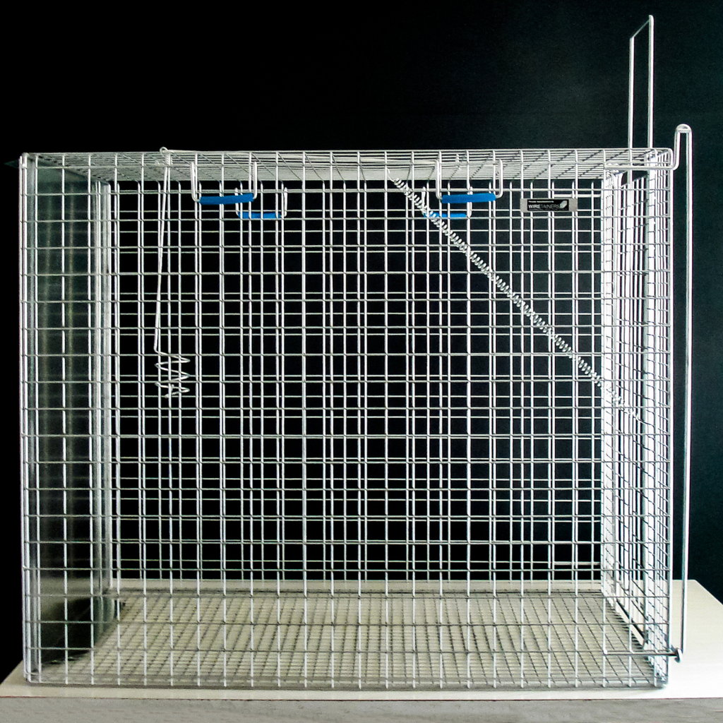 THE TANAMI WILD DOG TRAP