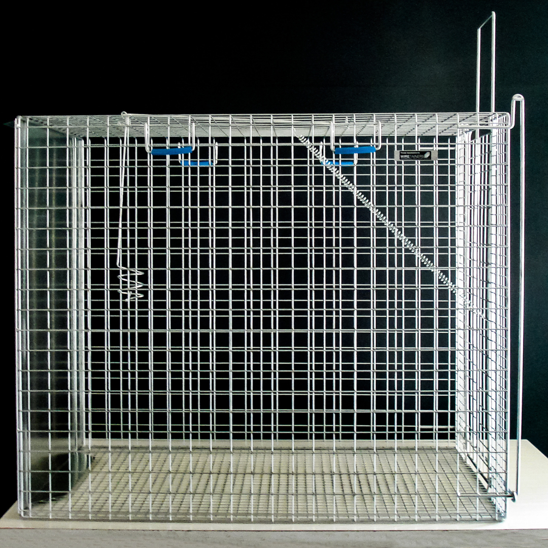 THE TANAMI WILD DOG TRAP