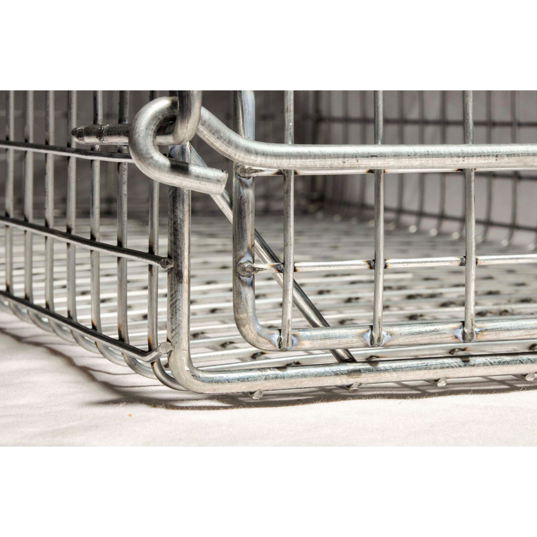 THE JINDABYNE CAT TRAP