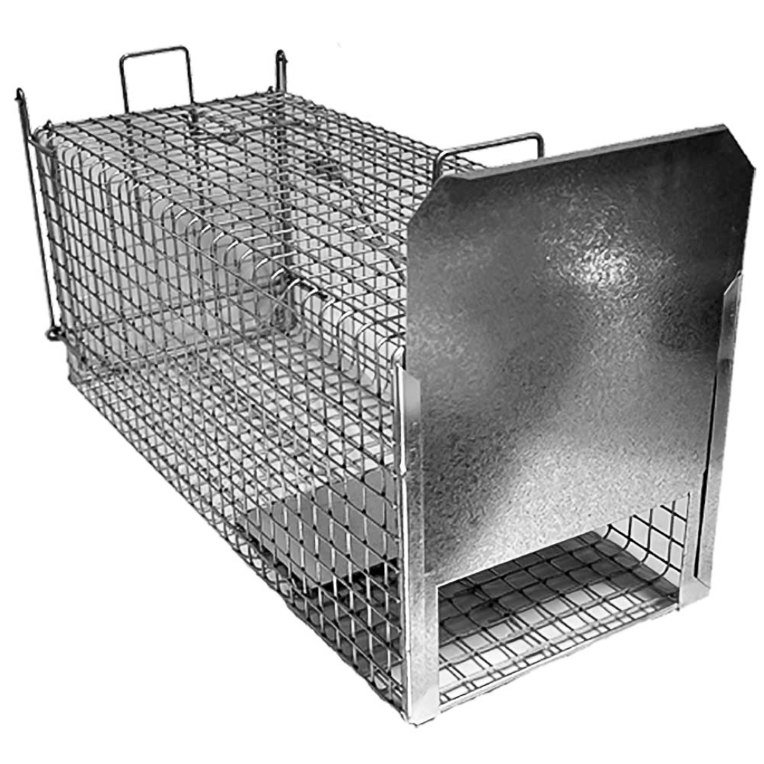 THE JINDABYNE CAT TRAP