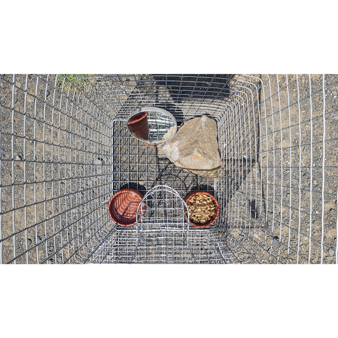 IT'S A TRAP! IT'S A TRAP! Humane Feral and Pest animal traps.