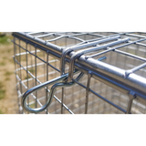 THE DARGO INDIAN MYNA TRAP