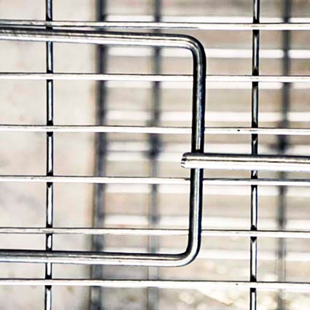 THE BUNTINE FOX TRAP