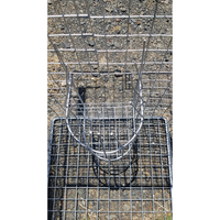 THE DARGO INDIAN MYNA TRAP