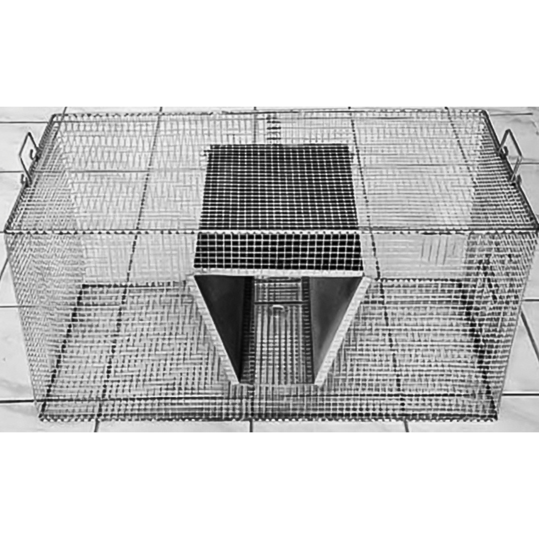 THE OTWAY SPARROW TRAP